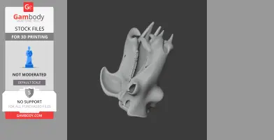 Hippopotamus Skull - Skull Replica STL