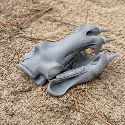 A 3D-printed gray hippopotamus skull replica displayed on sandy ground.
