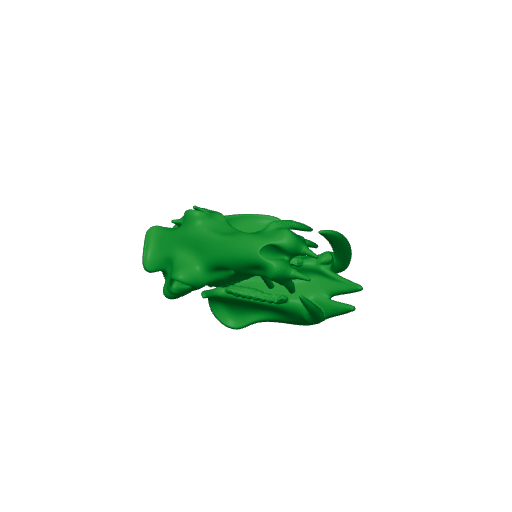 Hippopotamus Skull.3mf