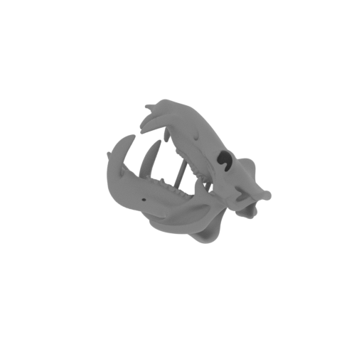 Hippopotamus Skull.stl