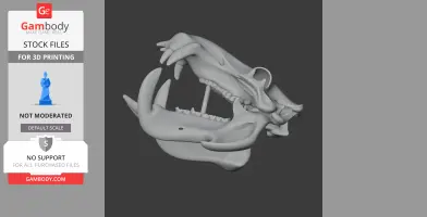 Hippopotamus Skull - Skull Replica STL