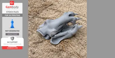 Hippopotamus Skull - Skull Replica STL