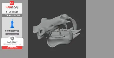 Hippopotamus Skull - Skull Replica STL