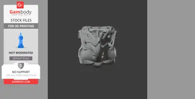 Detailed 3D model of a Hoatzin skull, designed for 3D printing.