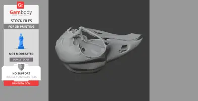 3D model of a hoatzin bird skull, detailed and ready for 3D printing.