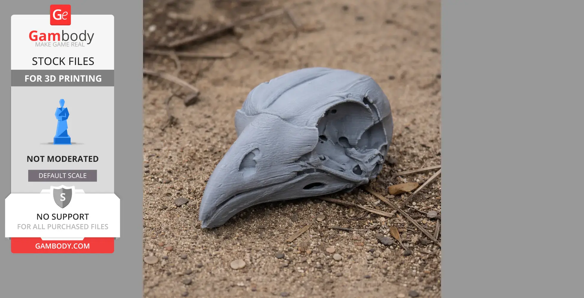Gray 3D-printed hoatzin skull replica on sandy ground, displaying detailed features and textures.