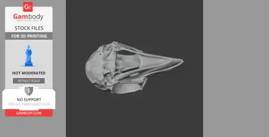 3D model of a Hoatzin bird skull, displayed for 3D printing.