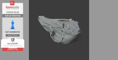 3D-printed Hoatzin bird skull replica, showing detailed structure and contours.