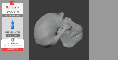 3D model of a Homo Erectus skull, side view, designed for 3D printing.