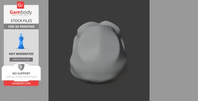 Top view of a 3D Homo Erectus skull model for printing, displayed on a gray background.