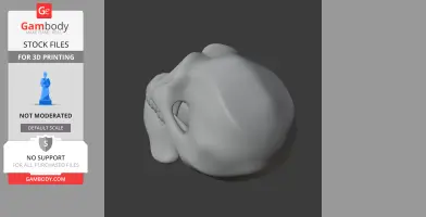 3D model of a Homo Erectus skull replica, viewed from above, set against a dark background.