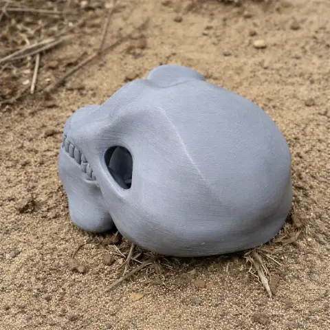 Gray Homo Erectus skull replica resting on sandy ground.
