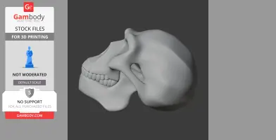 3D model of a Homo Erectus skull replica, side view, suitable for 3D printing.