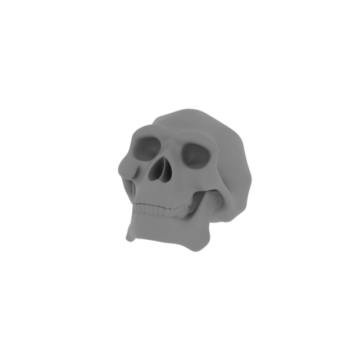 Homo Erectus Skull.stl