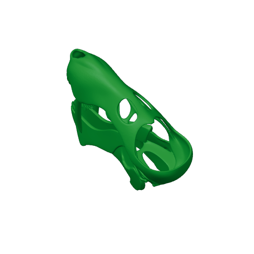 Gorgonops Skull.3mf