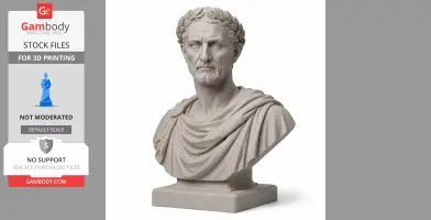 Nerva Bust - Historical Warrior STL