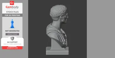 Nerva Bust - Historical Warrior STL