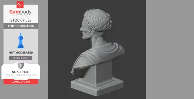 Nerva Bust - Historical Warrior STL