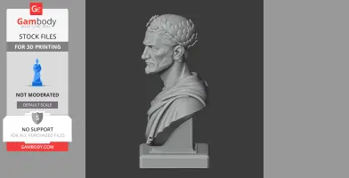 Nerva Bust - Historical Warrior STL