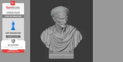 Nerva Bust - Historical Warrior STL