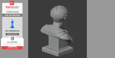 Nerva Bust - Historical Warrior STL