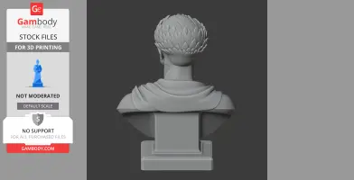 Nerva Bust - Historical Warrior STL