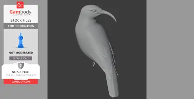 A 3D model of a Vanga bird with detailed wing and beak, intended for 3D printing.