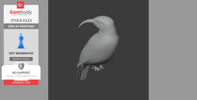 3D model of a Vanga bird with a curved beak and detailed feathers, designed for 3D printing.