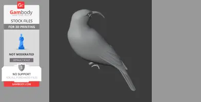 3D model of a Vanga bird with a curved beak, standing profile, intended for 3D printing.