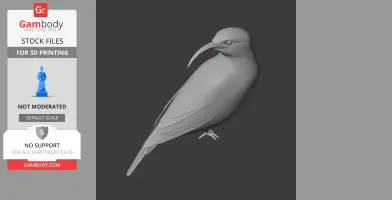3D model of a Vanga bird with a long, curved beak, standing pose, grey render.