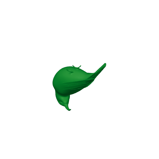 Vanga Bird.3mf