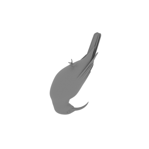 Vanga Bird.stl