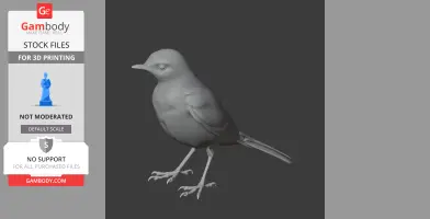 3D model of a prehistoric wagtail bird, ready for 3D printing, displayed in a gray tone.