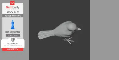 A 3D model of a prehistoric wagtail bird viewed from above, designed for 3D printing.