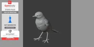 A 3D model of a wagtail bird with detailed feathers and slender legs, designed for 3D printing.