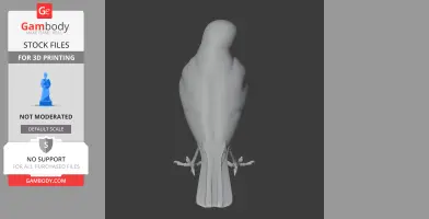 Gray 3D model of a prehistoric wagtail bird viewed from above, showcasing its streamlined shape.