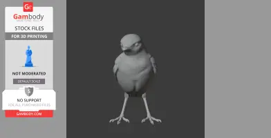 3D model of a plump, standing prehistoric wagtail bird for 3D printing, with detailed legs and beak.
