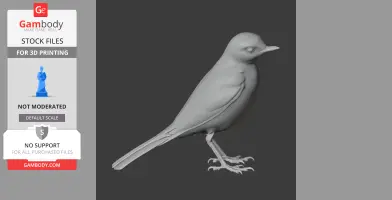 3D model of a wagtail bird standing, designed for 3D printing, showcased on Gambody.