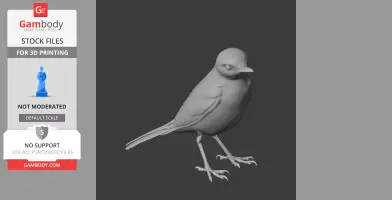 A detailed 3D model of a prehistoric wagtail bird, ideal for 3D printing.