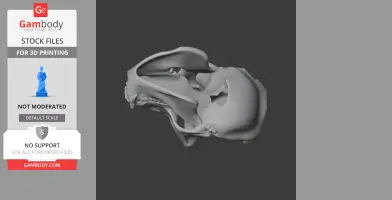 Gorilla Skull - Skull Replica STL