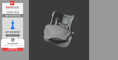 Gorilla Skull - Skull Replica STL