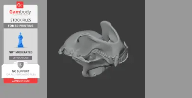 Gorilla Skull - Skull Replica STL