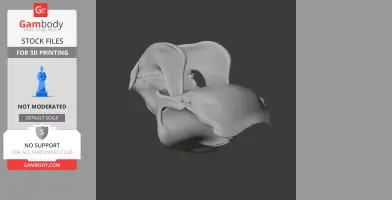 Gorilla Skull - Skull Replica STL