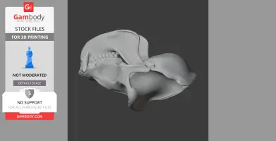 Gorilla Skull - Skull Replica STL