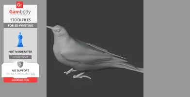 Gray 3D model of a bird with detailed feathers and a long tail, designed for 3D printing.