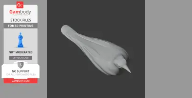 3D model of a streamlined, pointed prehistoric-looking bird for 3D printing.