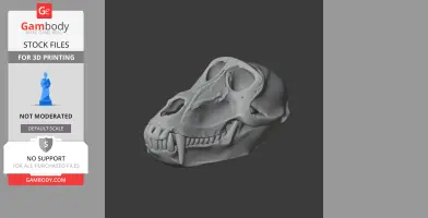 Hamadryas Baboon Skull - Skull Replica STL