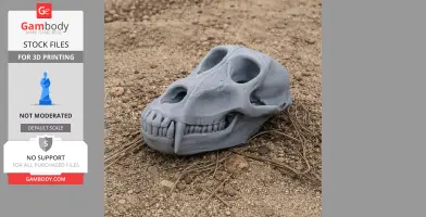 Hamadryas Baboon Skull - Skull Replica STL