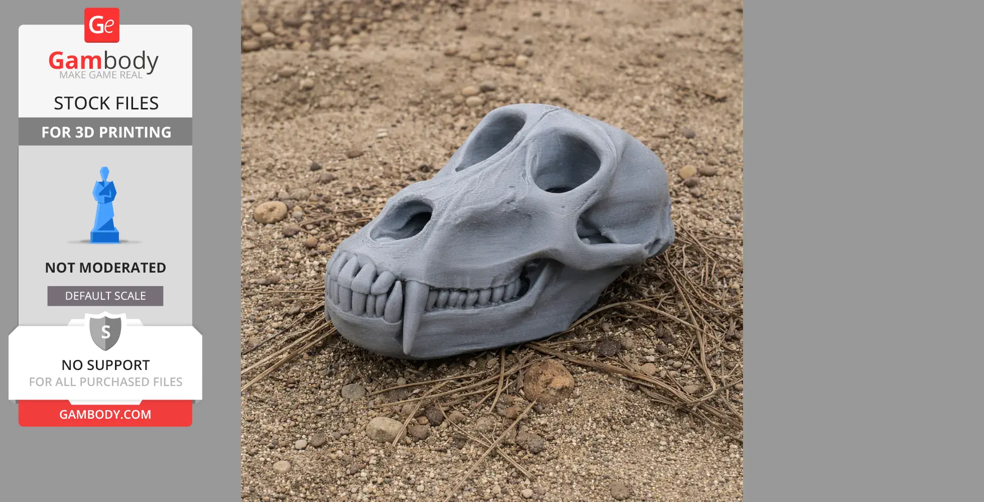 Hamadryas Baboon Skull - Skull Replica STL