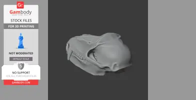 Hamadryas Baboon Skull - Skull Replica STL